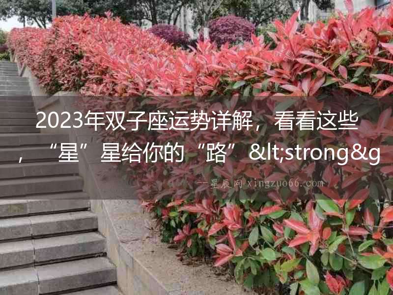 2023年雙子座運(yùn)勢詳解，看看這些，“星”星給你的“路”<strong>已打</strong>開！