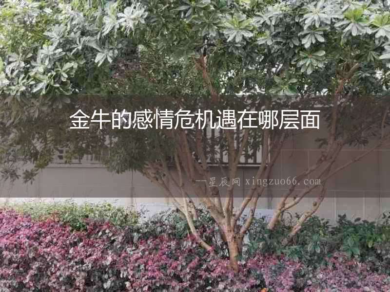 金牛的感情危機遇在哪層面