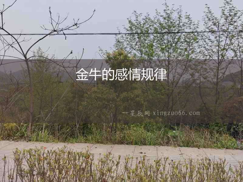 金牛的感情規律