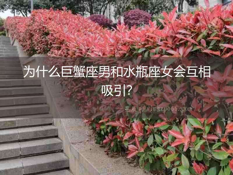 為什么巨蟹座男和水瓶座女會互相吸引？