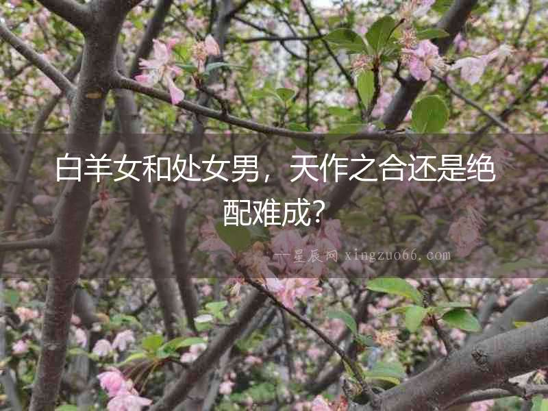 白羊女和處女男，天作之合還是絕配難成？