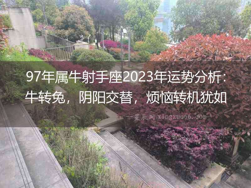 97年屬牛射手座2023年運勢分析：牛轉(zhuǎn)兔，陰陽交替，煩惱轉(zhuǎn)機猶如云煙