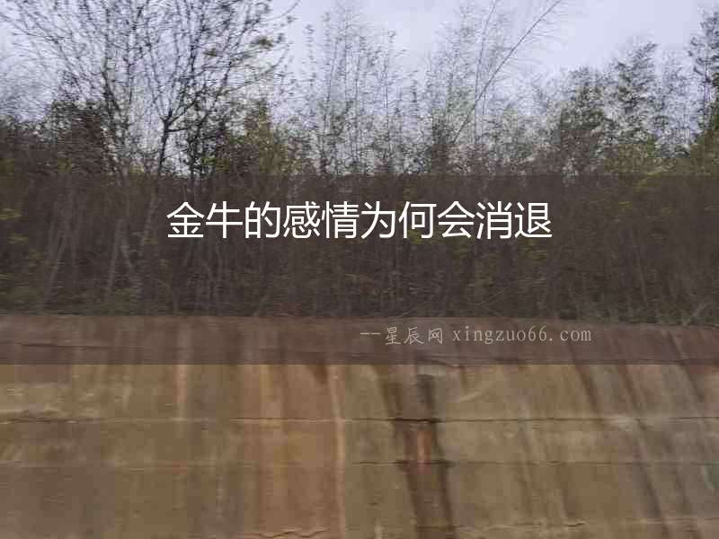 金牛的感情為何會消退
