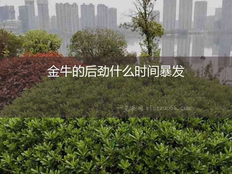 金牛的后勁什么時間暴發