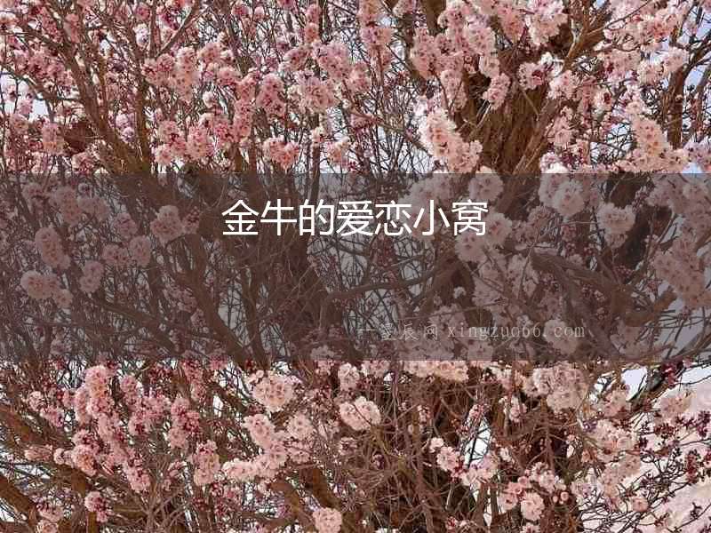 金牛的愛戀小窩