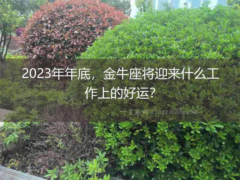 2023年年底，金牛座將迎來什么工作上的好運？