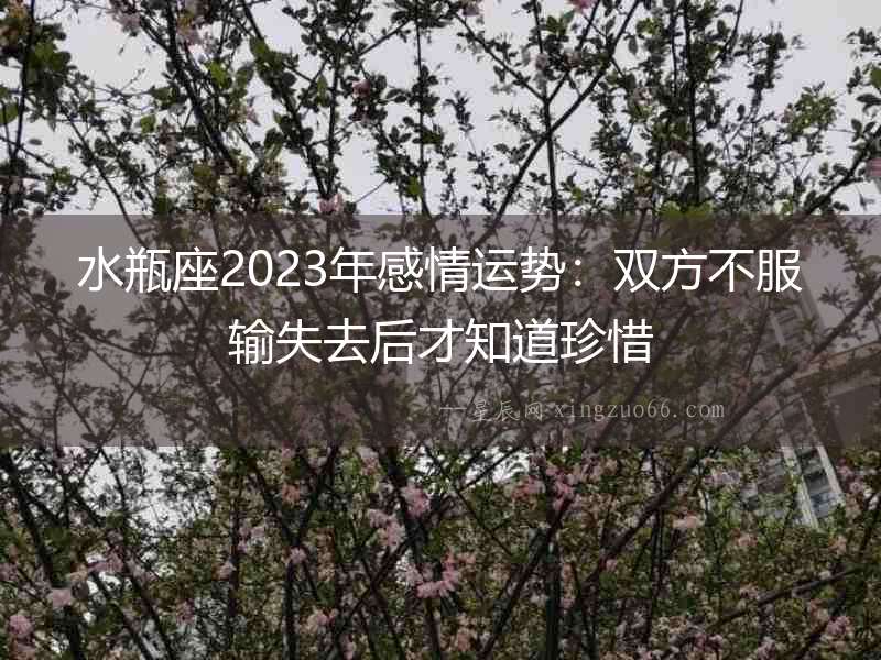 水瓶座2023年感情運勢：雙方不服輸失去后才知道珍惜