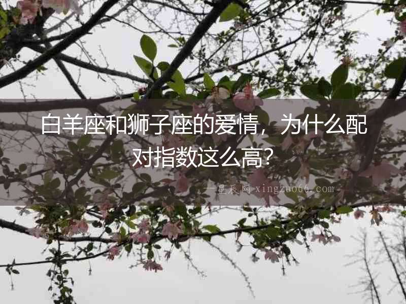 白羊座和獅子座的愛情，為什么配對指數這么高？