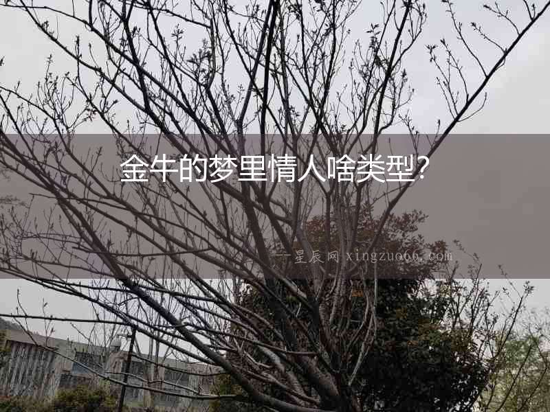 金牛的夢里情人啥類型？