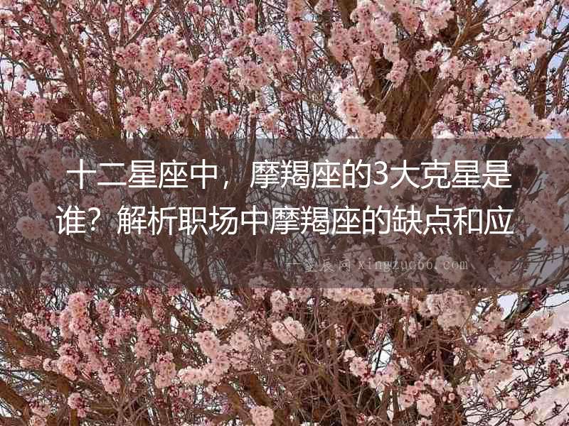  十二星座中，摩羯座的3大克星是誰？解析職場中摩羯座的缺點和應對方法