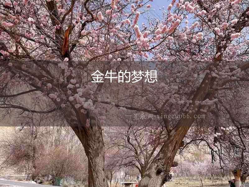 金牛的夢想