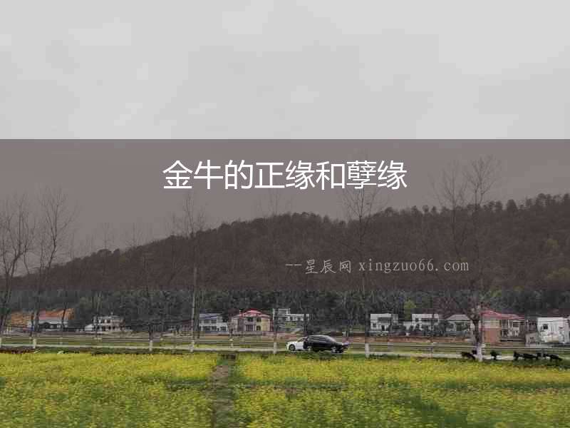 金牛的正緣和孽緣