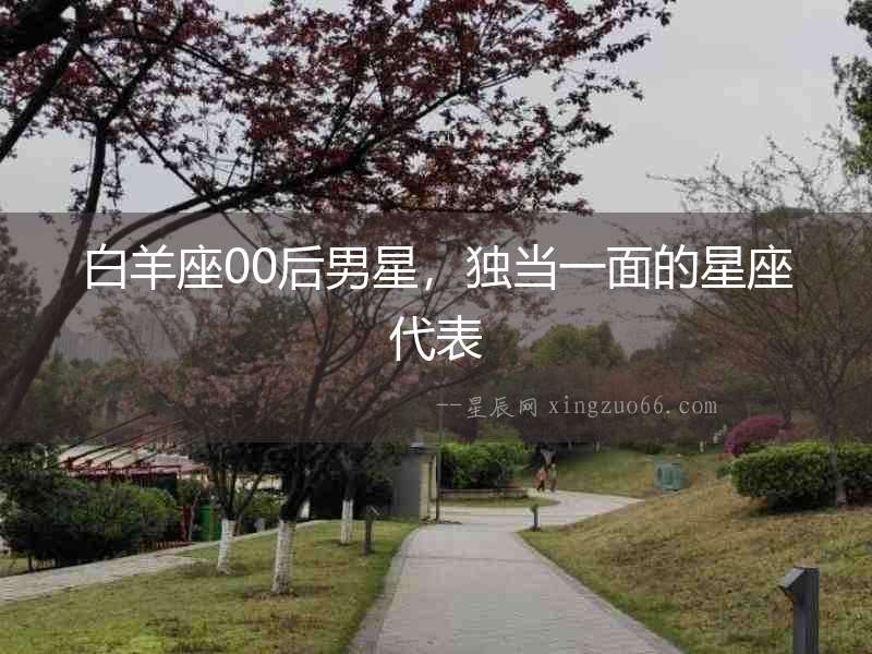 白羊座00后男星，獨當一面的星座代表