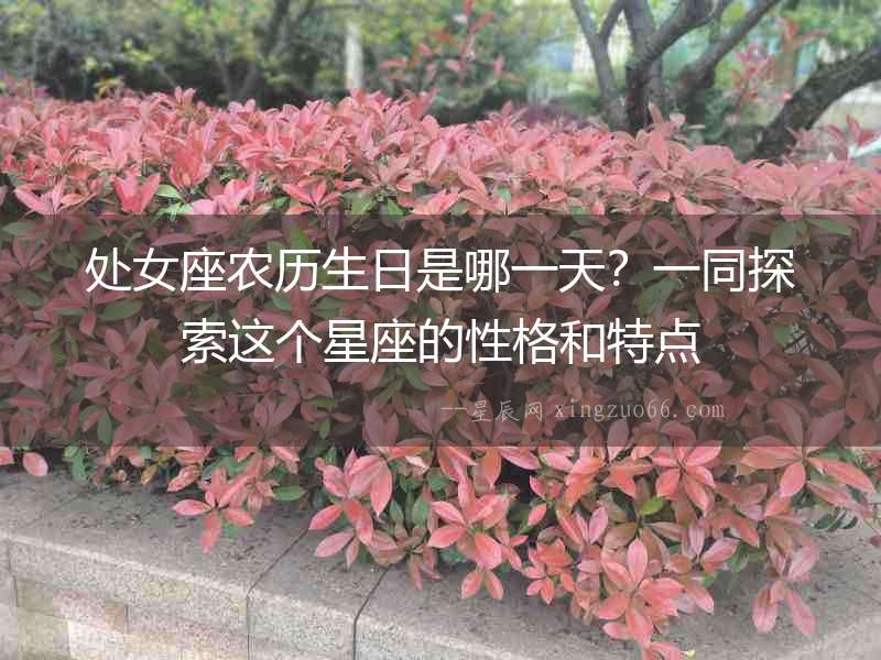 處女座農(nóng)歷生日是哪一天？一同探索這個(gè)星座的性格和特點(diǎn)