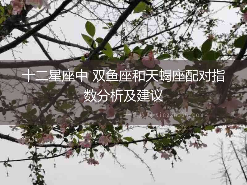 十二星座中 雙魚座和天蝎座配對指數(shù)分析及建議