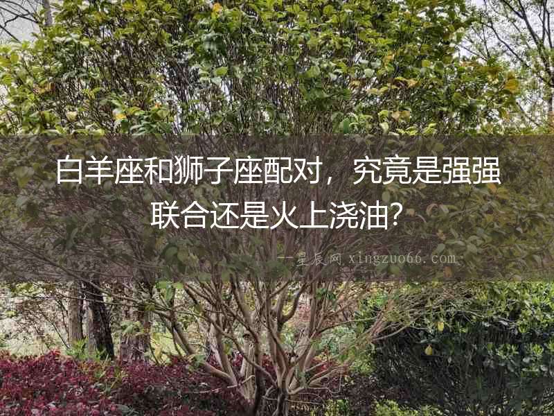 白羊座和獅子座配對，究竟是強強聯(lián)合還是火上澆油？
