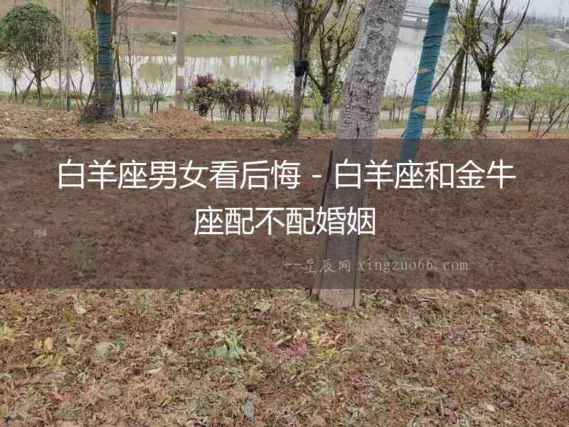 白羊座男女看后悔 - 白羊座和金牛座配不配婚姻