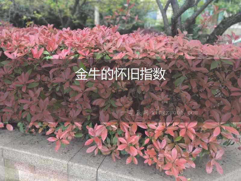 金牛的懷舊指數