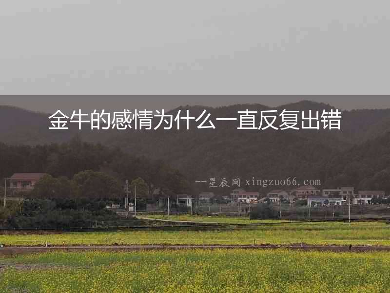 金牛的感情為什么一直反復出錯