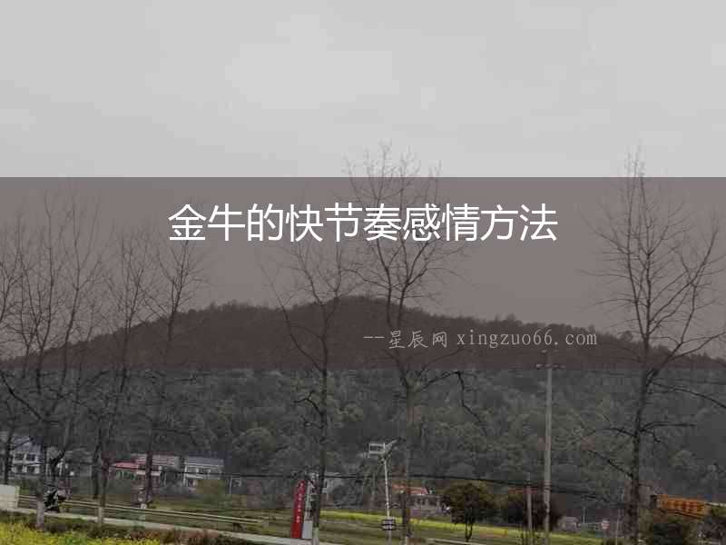 金牛的快節奏感情方法