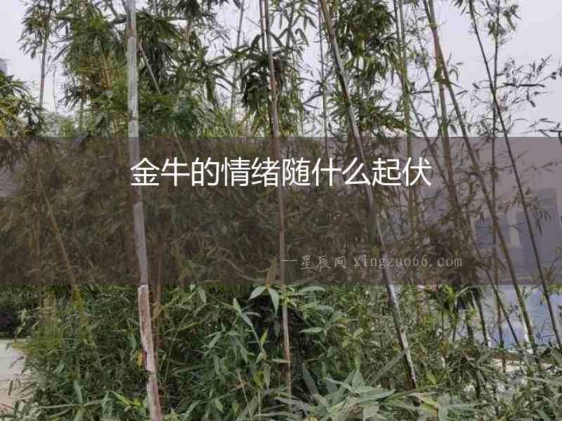 金牛的情緒隨什么起伏