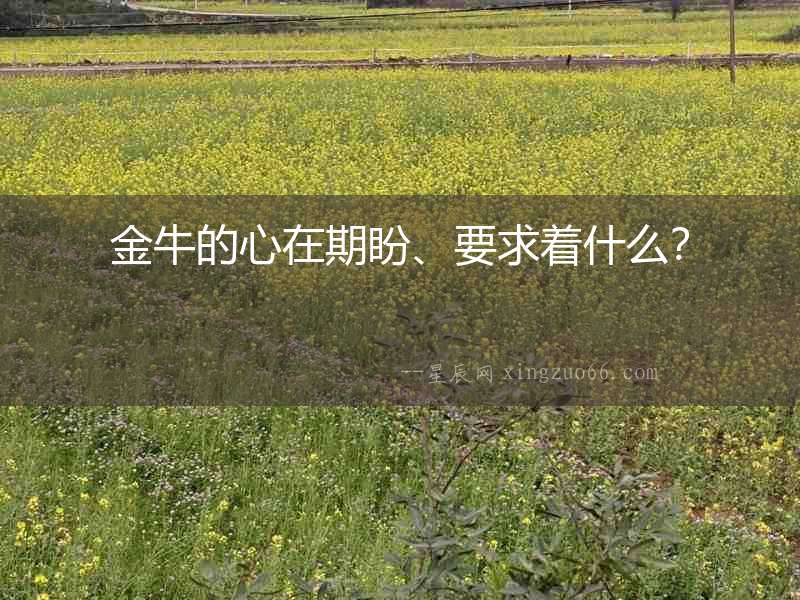 金牛的心在期盼、要求著什么？