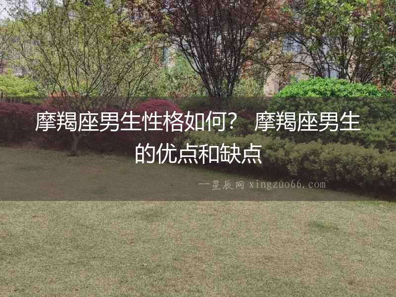 摩羯座男生性格如何？ 摩羯座男生的優點和缺點