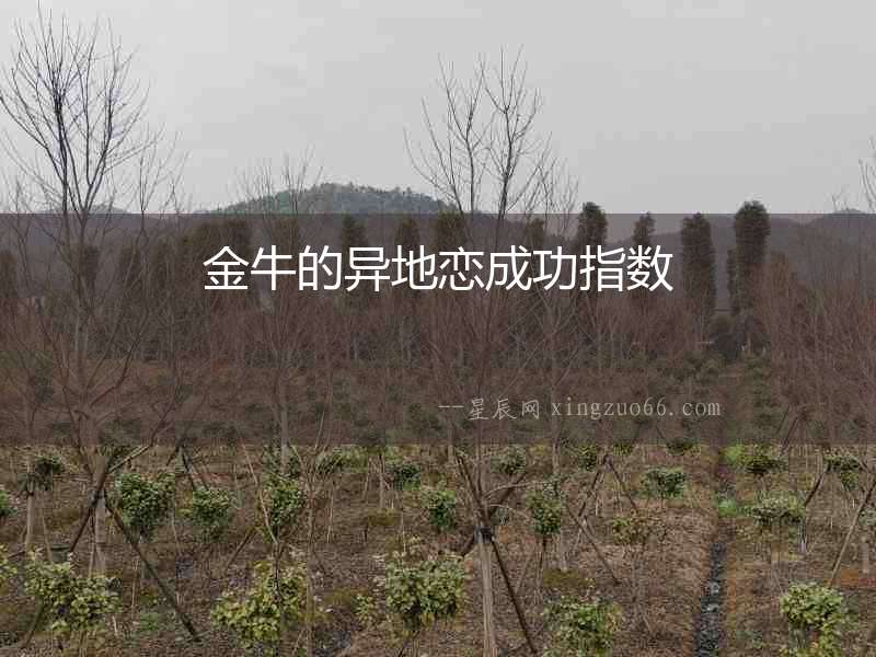 金牛的異地戀成功指數(shù)