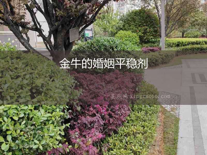 金牛的婚姻平穩(wěn)劑
