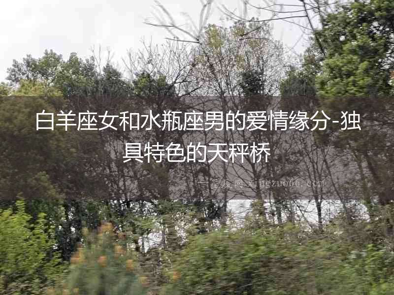 白羊座女和水瓶座男的愛情緣分-獨具特色的天秤橋