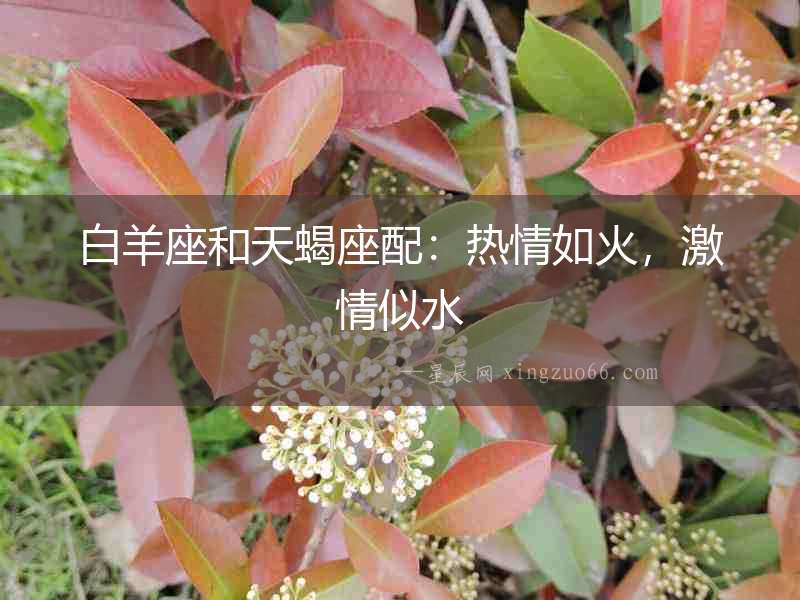 白羊座和天蝎座配：熱情如火，激情似水