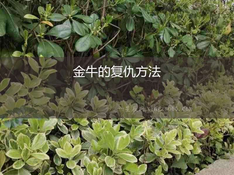 金牛的復仇方法