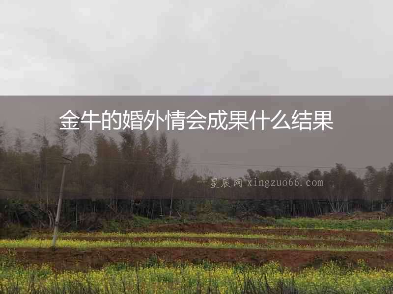 金牛的婚外情會(huì)成果什么結(jié)果
