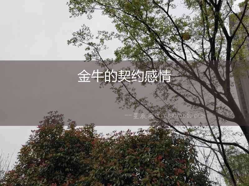 金牛的契約感情
