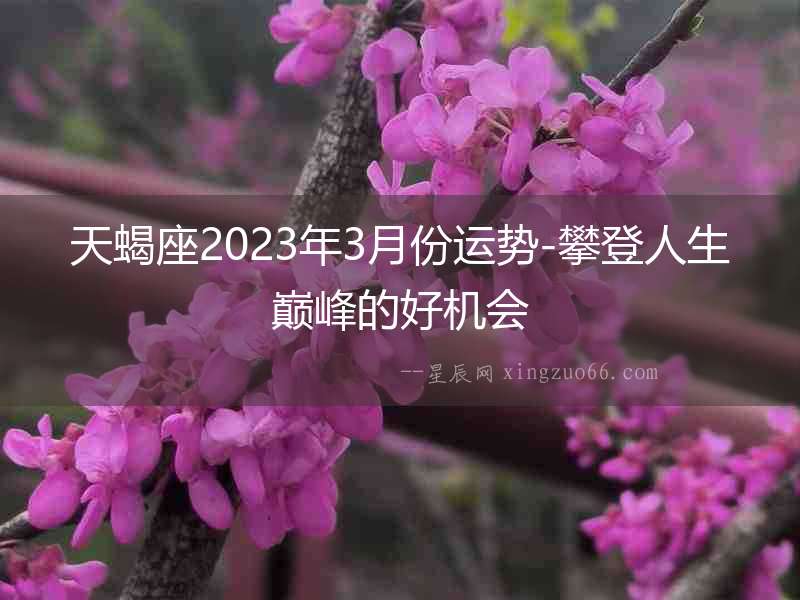 天蝎座2023年3月份運勢-攀登人生巔峰的好機會
