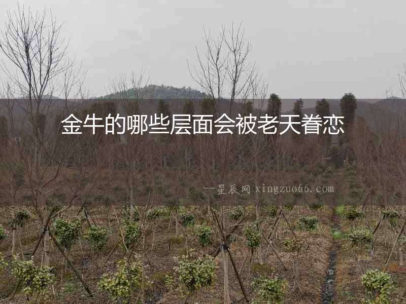 金牛的哪些層面會被老天眷戀