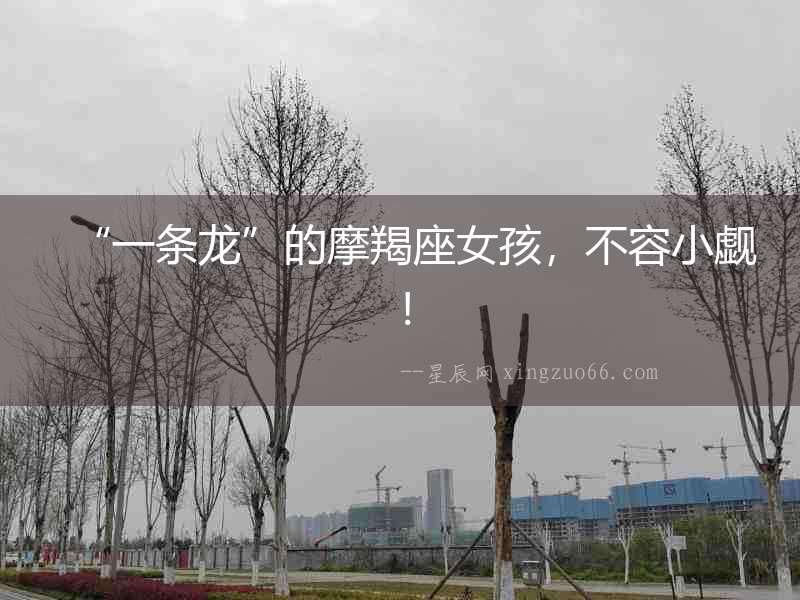 “一條龍”的摩羯座女孩，不容小覷！
