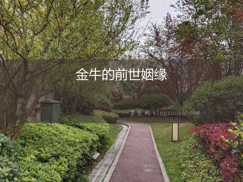 金牛的前世姻緣