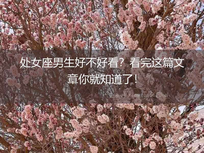 處女座男生好不好看？看完這篇文章你就知道了！