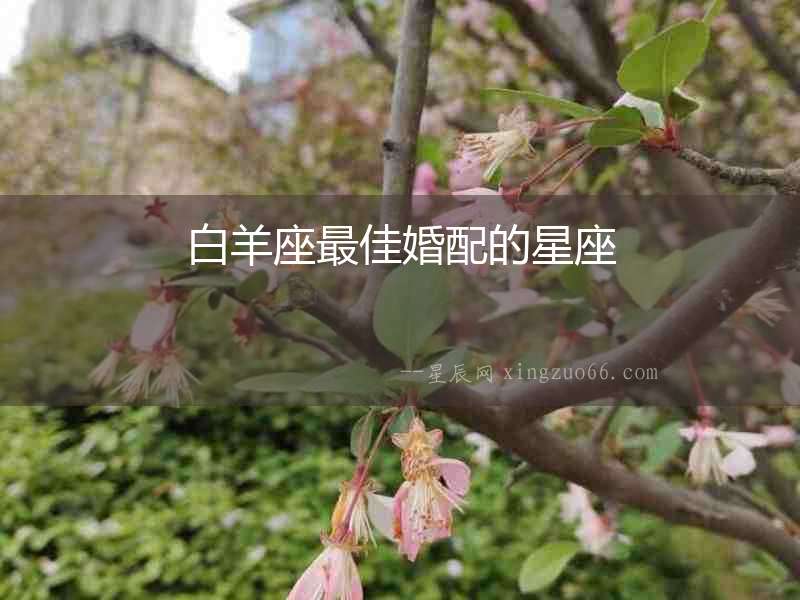 白羊座最佳婚配的星座