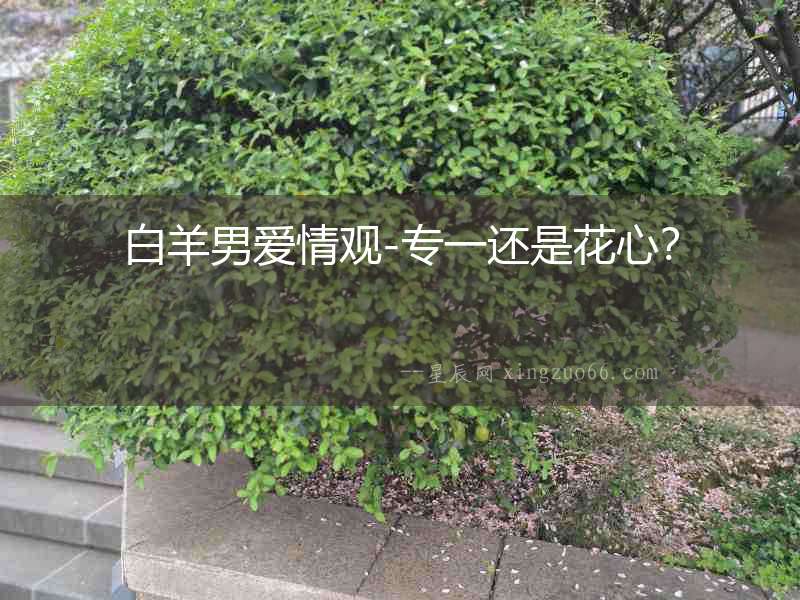 白羊男愛情觀-專一還是花心？