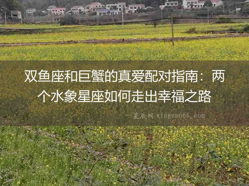 雙魚座和巨蟹的真愛配對指南：兩個水象星座如何走出幸福之路