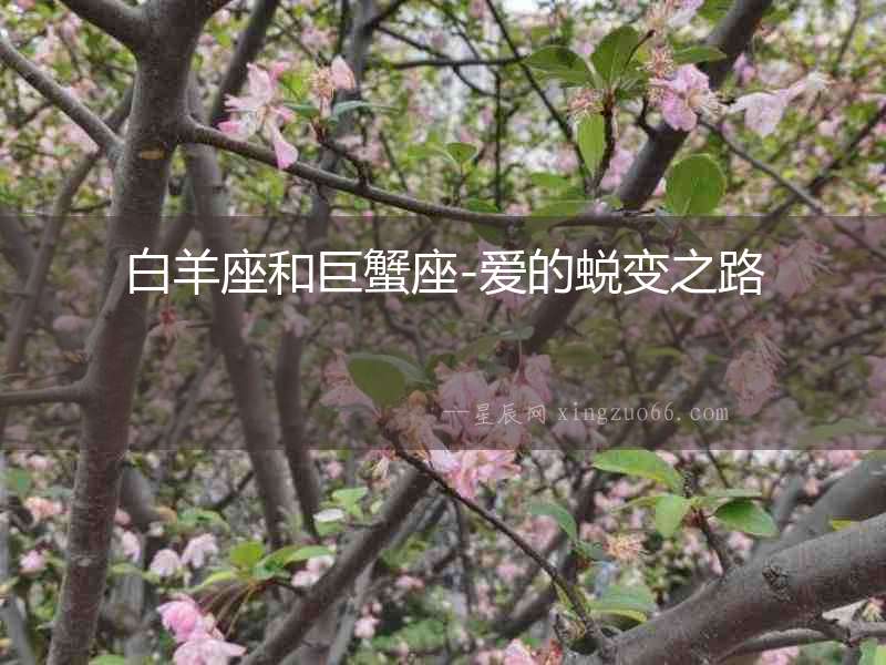 白羊座和巨蟹座-愛的蛻變之路