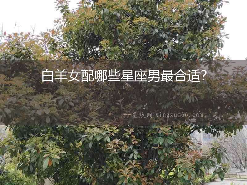 白羊女配哪些星座男最合適？