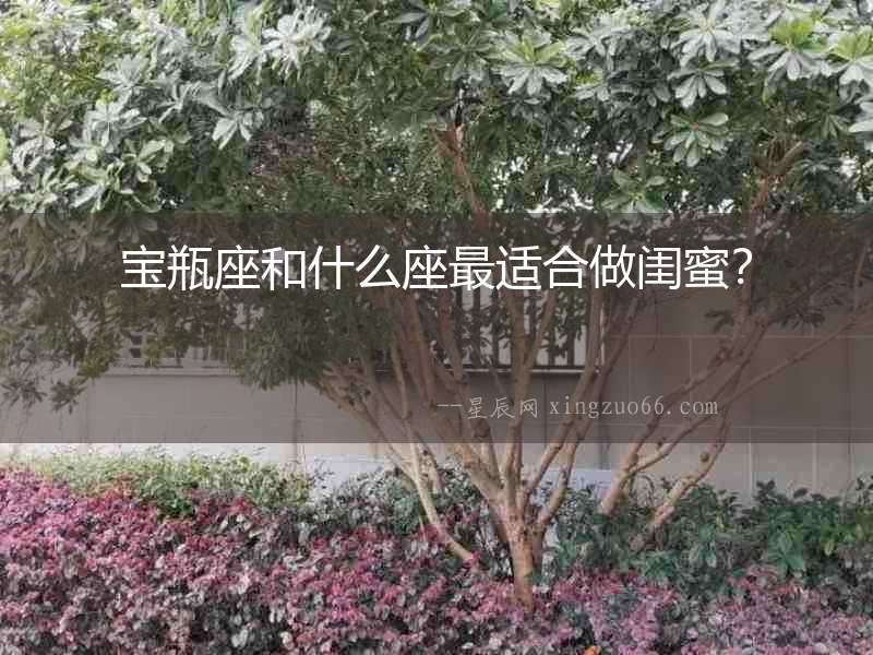 寶瓶座和什么座最適合做閨蜜？