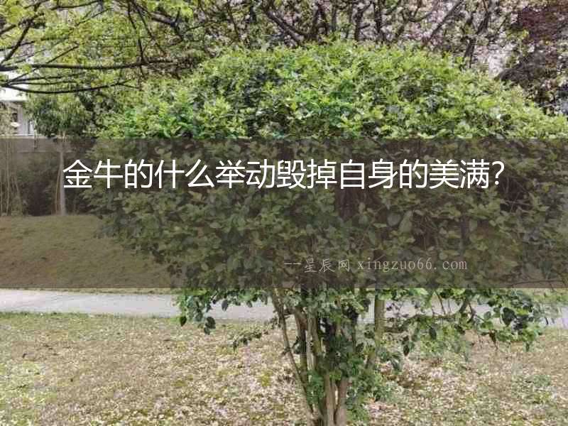 金牛的什么舉動毀掉自身的美滿？