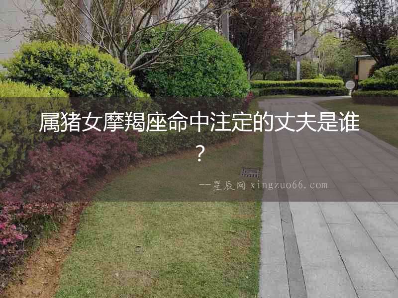 屬豬女摩羯座命中注定的丈夫是誰？