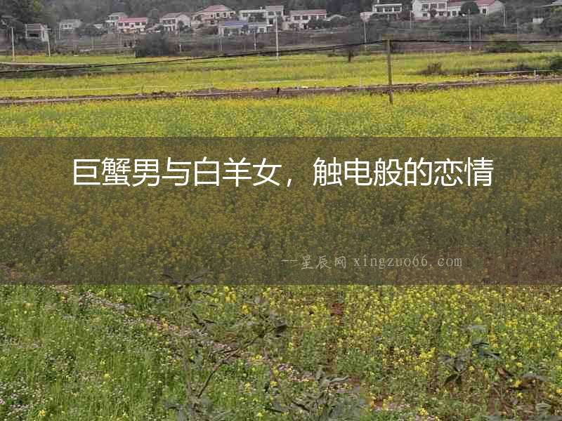 巨蟹男與白羊女，觸電般的戀情