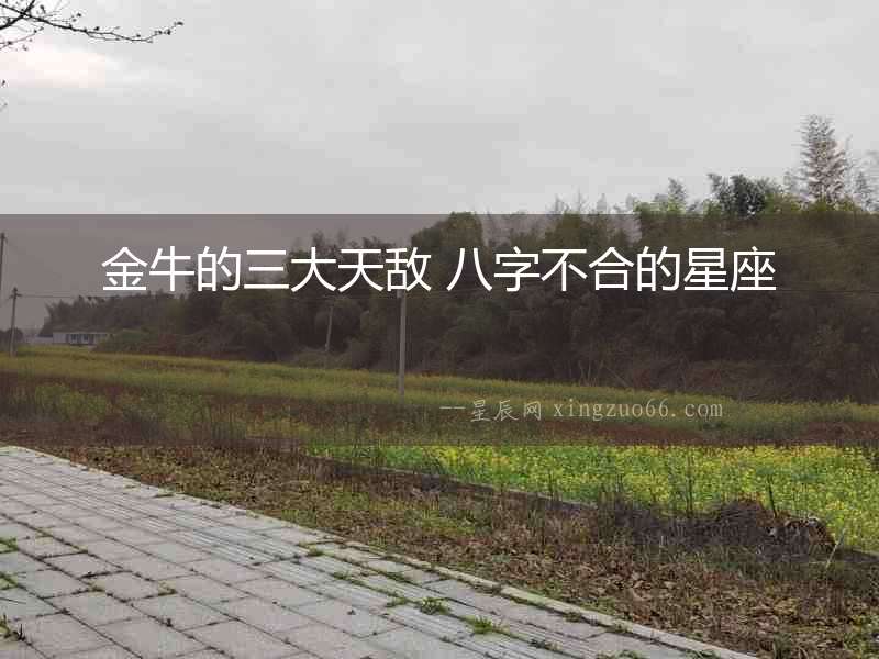 金牛的三大天敵 八字不合的星座