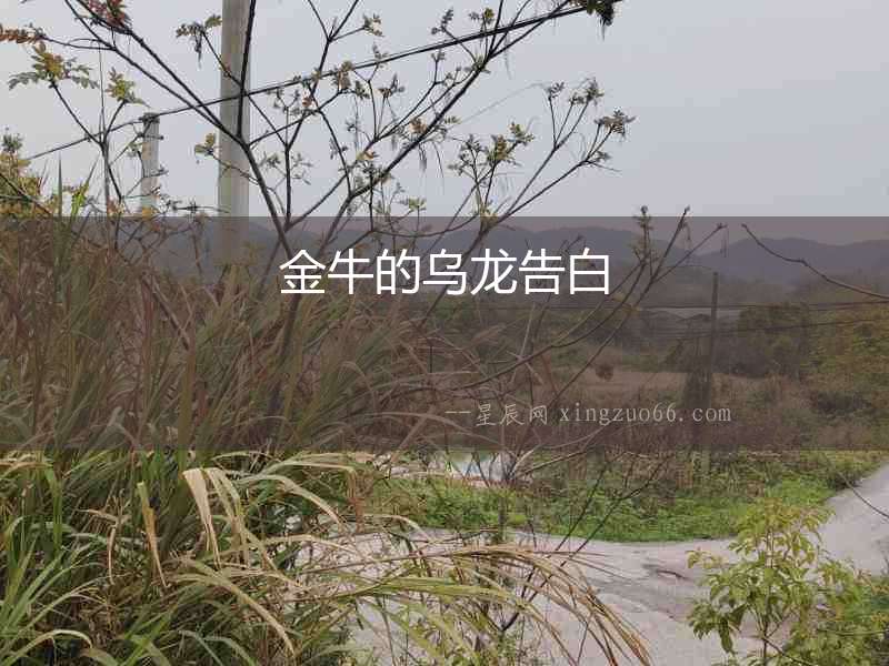 金牛的烏龍告白